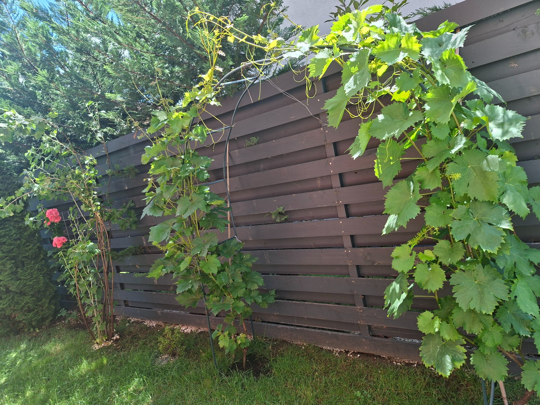 48920.jpg